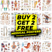 Listing image for HUMAN ANATOMY CHIROPRACTIC EDUCATIONAL STUDENT MEDICAL POSTER PRINTS A4 A3 A2
