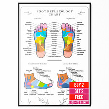 Listing image for Foot Reflexology Poster Human Anatomy Educational Student Medical Poster A5 - A3