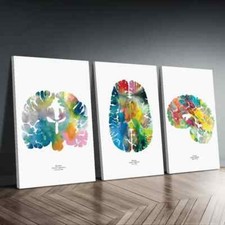 Listing image for 3pcs Neurology & Psychology Wall Art Canvas Unframed/Framed