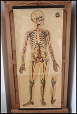 Listing image for Vintage St John Ambulance Medical Anatomical Wall Chart Large Poster Paper/Cloth