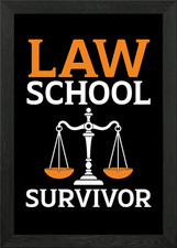 Listing image for Law School Survivor Framed Wall Art Poster Canvas Print Picture